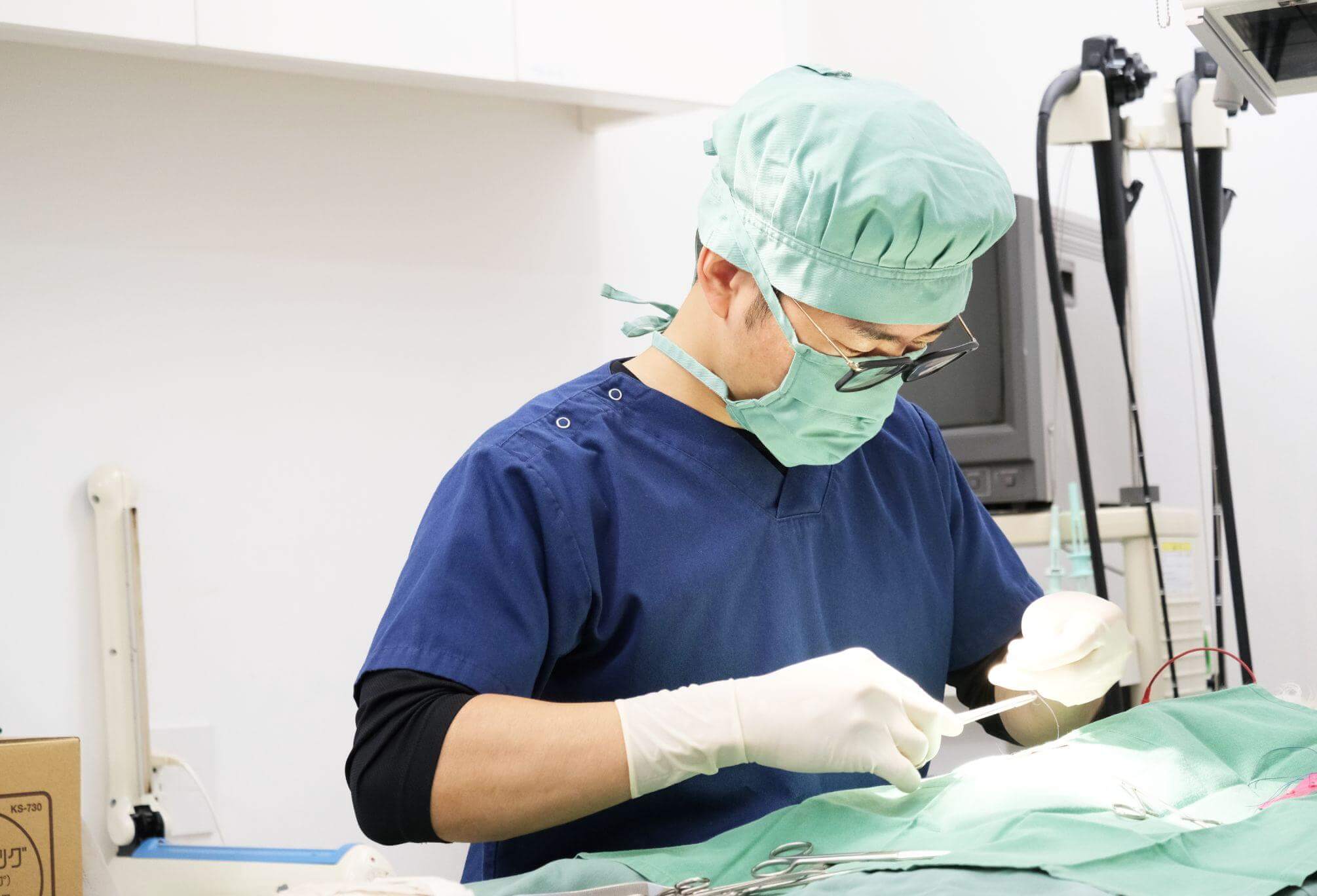 Veterinarian with animal