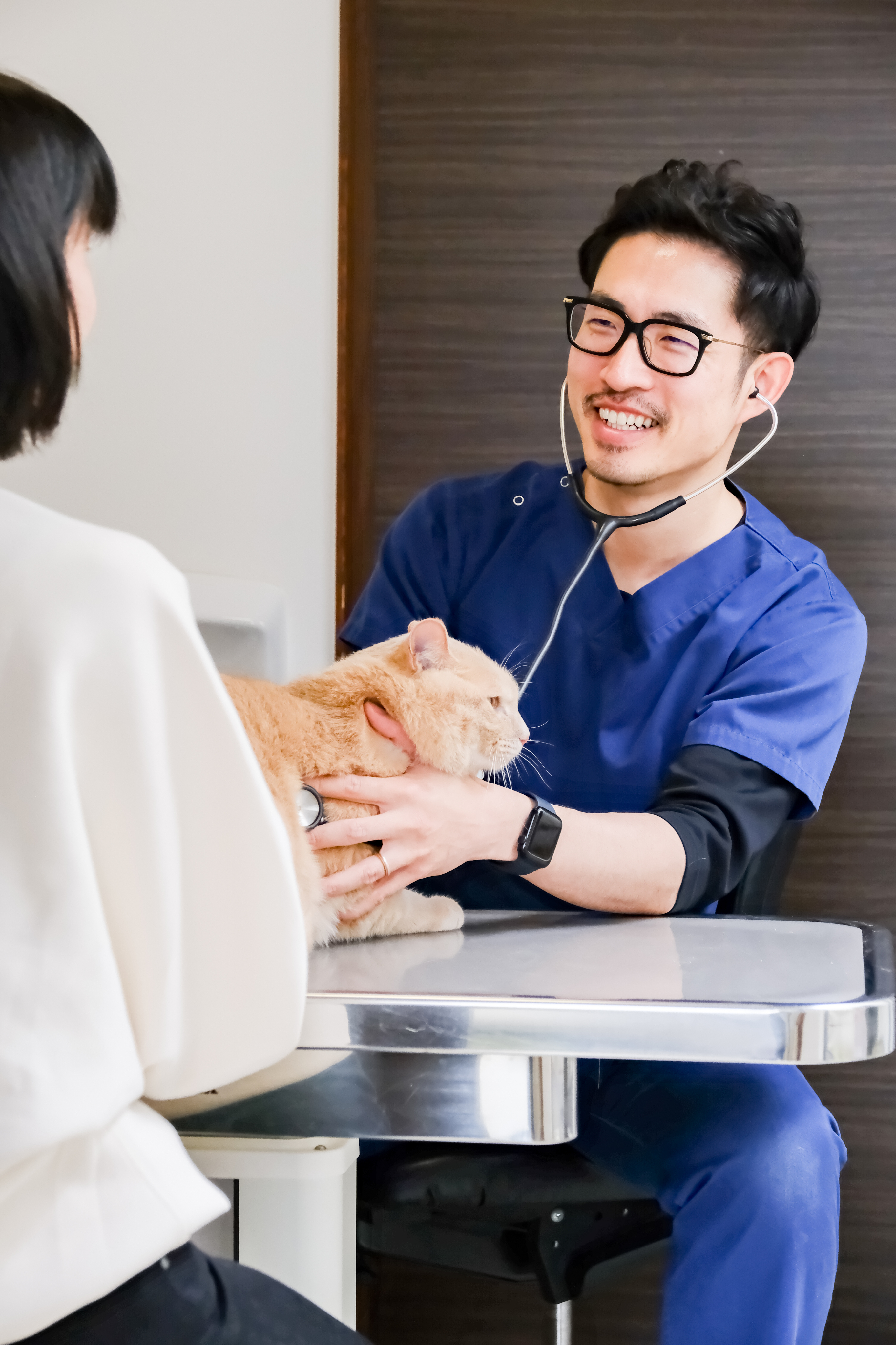 Consultation
