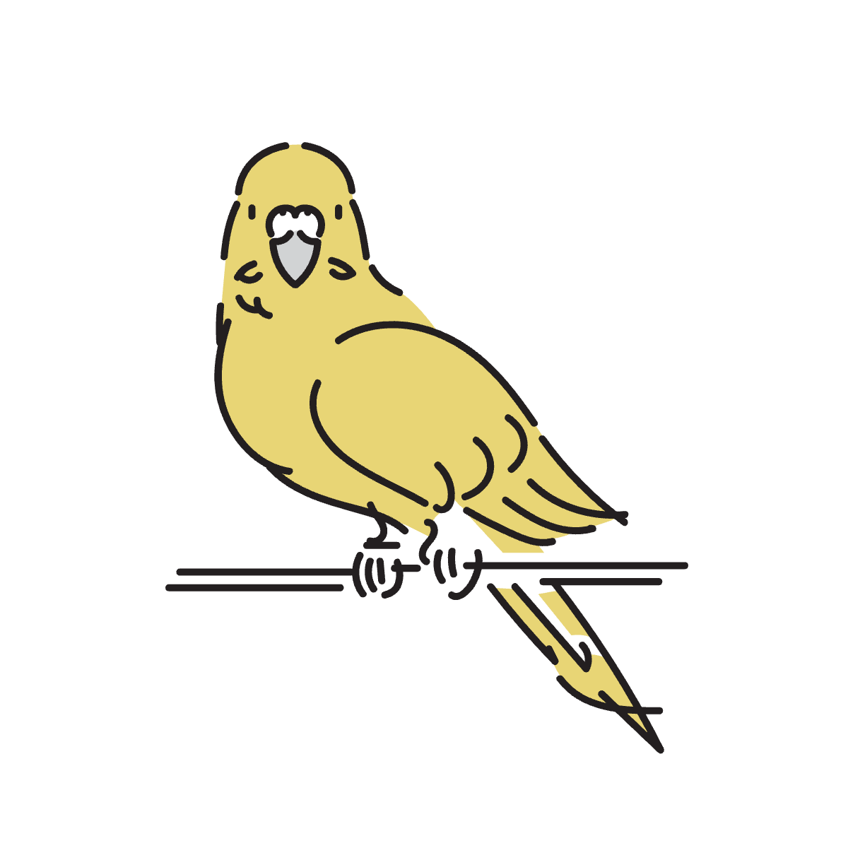 animal 3